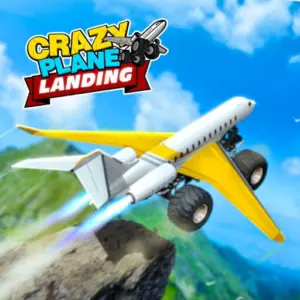 Crazy Plane Landing