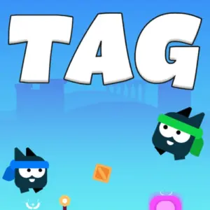Tag Game